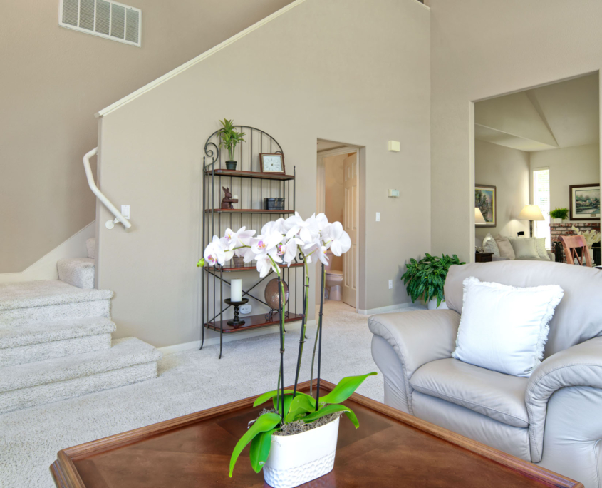 B10 A7R064855633 Ravenna Court (3)